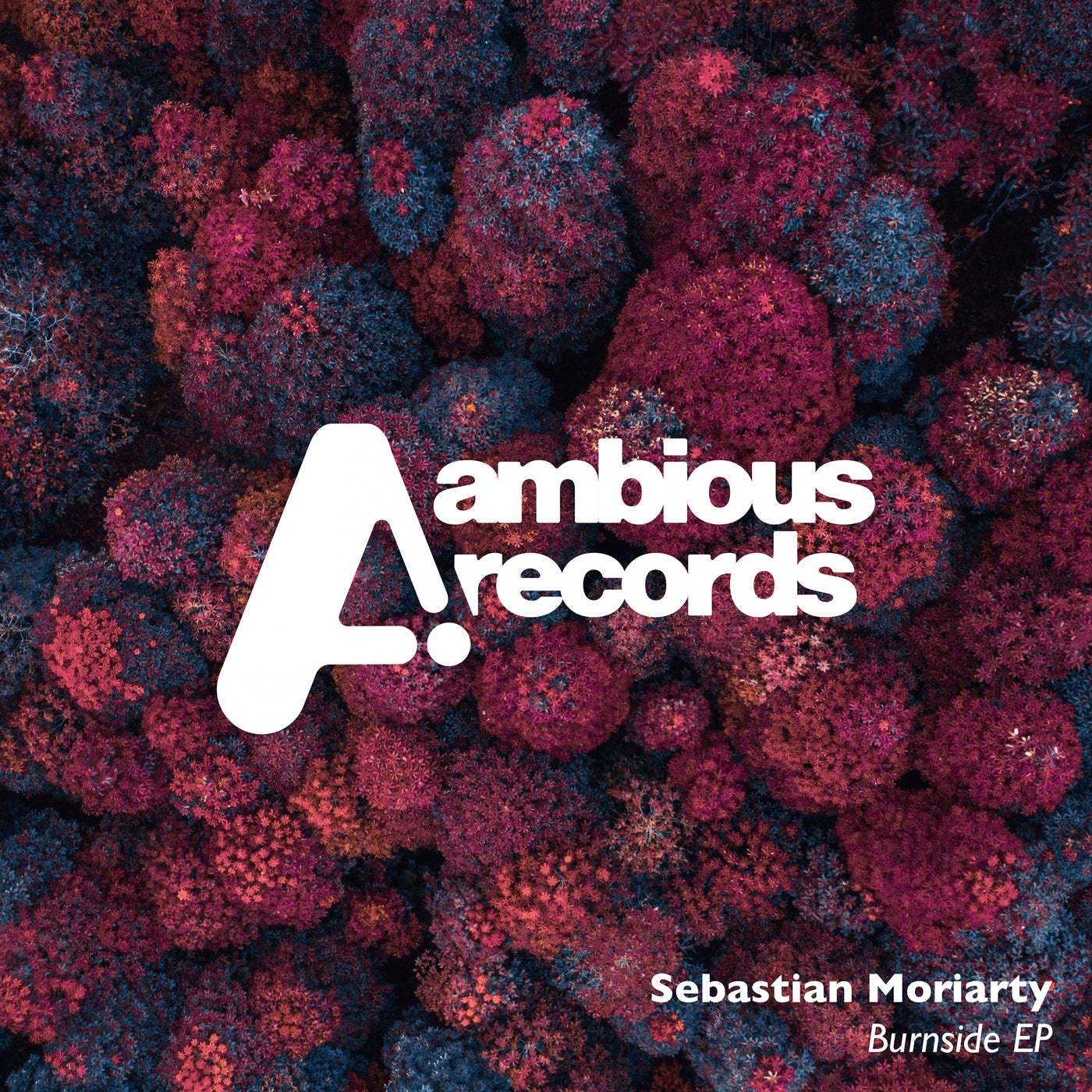 Sebastian Moriarty - Burnside EP [AMB046]